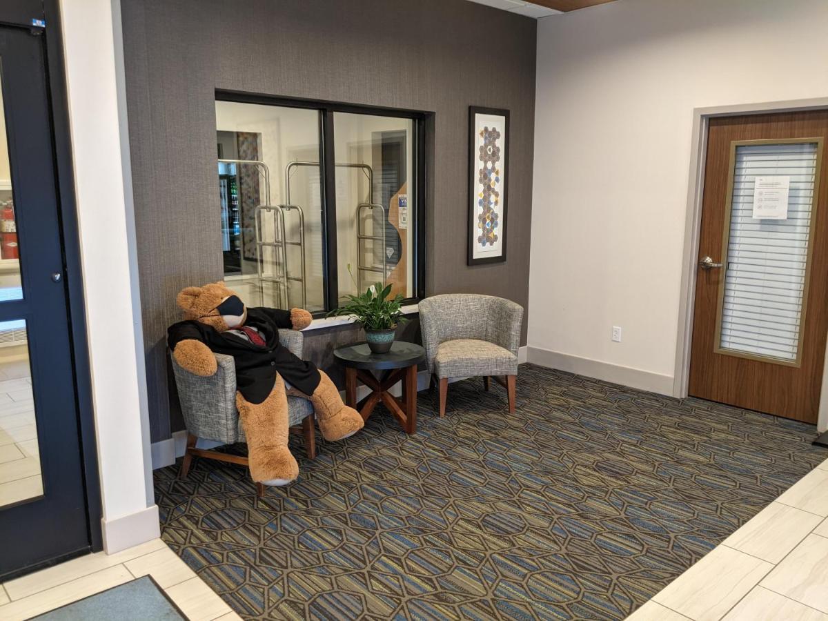 Holiday Inn Express South Burlington By Ihg Exterior foto